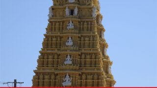 తిరుమల శ్రీవారిని దర్శించుకున్న శిఖర్ ధావన్.. టీటీడీకి కృతజ్ఞతలు